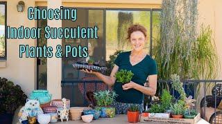 INDOOR SUCCULENT PLANTS: CHOOSING SUCCULENTS & POTS /JoyUsGarden