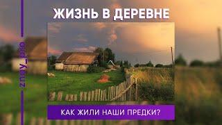 ЖИЗНЬ В ДЕРЕВНЕ