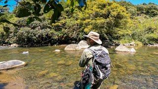 BIG Rainbow Trout in SUMMER [FLY FISHING]