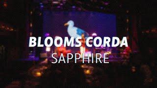 blooms corda // sapphire / live at caribbean club