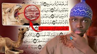 Kemtaan Ak Secrets Yi Yalla Def Ci  Guiléem - Entre Science Ak Alkhouraan…
