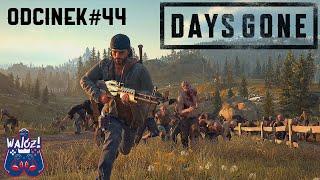 Walczi gra w: Days Gone odc.44 Apel/ Rozkaz likwidacji Crystal Adkins