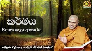 කර්මය විපාක දෙන ආකාරය - අතිපූජ්‍ය වල්පොල ගෝතම ස්වාමීන් වහන්සේ | Ven. Walpola Gothama Thero