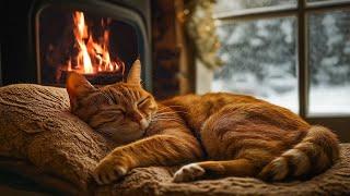 Snow Falling Outside Window - Cozy Room with Cat Purring and Fireplace Sounds - Deep Sleep, Relaxing