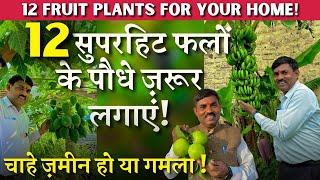 12 सुपरहिट फलों के पौधे ज़रूर लगाएं || चाहे ज़मीन हो या गमला || 12 Fruit Plants for your Home !