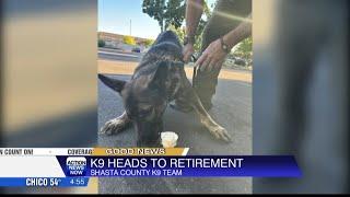 K9 Officer Ace retires after four and a half years of service in Shasta County