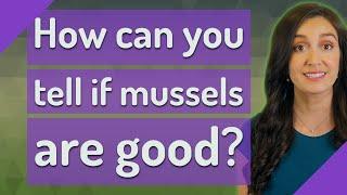 How can you tell if mussels are good?