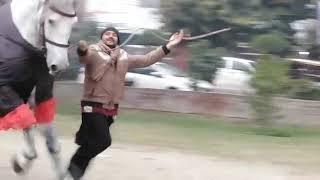 Zuljinah Murtajiz II Jumping II Ground Kali Kothi Moon Market Lahore