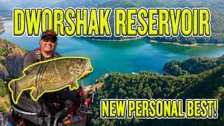 Dworshak Reservoir Has GIANT Smallmouth and They Eat "Big" Swimbaits!