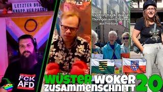 Wüster woker Meme-Zusammenschnitt #20 [Landtagswahlen Spezial]