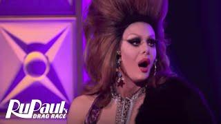 Best of Trinity Taylor | RuPaul’s Drag Race Season 9