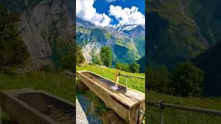 Switzerland's Most Beautiful Journey #nature #switzerland #shorts