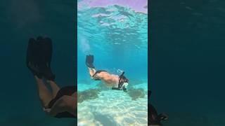 Let the summer adventures begin  #fyp #snorkeling #underwater #beach #ocean #water