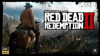 Red Dead Redemption 2 - Gunslinger Mission: Emmet Granger (Disarm Knife/No Damage/High Honor)