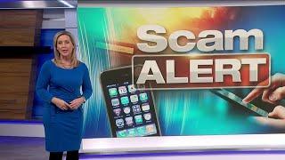 New crypto payment scam warning