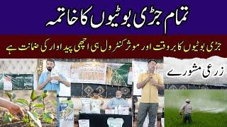 Herbicide Fertilizers | Agricultural Advice | جڑی بوٹیوں کا خاتمہ | زرعی مشورے