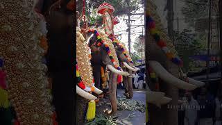Kodungallur Thalappoli 2024 | VC1