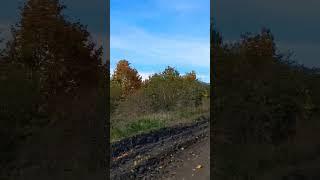 То что мы знаем это капля ... #мудрость #wisdom #shorts