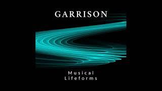 GARRISON-Musical Lifeforms 2020 (Music album №4)