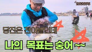 당진은 전어밭인데 나의 목표는 숭어~~ #투망 #바다투망 #서해투망 #숭어 #전어 #fishing#흑백요리사