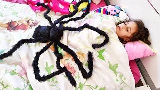 Une grosse araignée sur le lit de Diana!! A BIG SPIDER ON DIANA'S BED