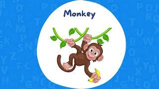 ABC Animal Education Video | Curious Tots Tv