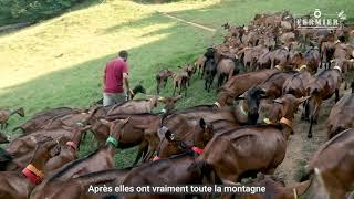 Ferme de Lanset - fromage de chèvre chez Ô FERMIER