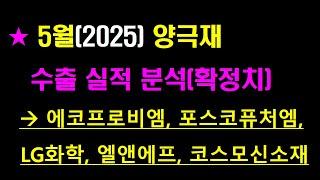 (5월)양극재 수출실적 분석 #LG엔솔#삼성SDI#SK이노베이션#엘앤에프#LG화학#포스코퓨처엠#에코프로#코스모신소재#포스코#이차전지#양극재#배터리#전기차#Tesla