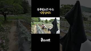 동족혐오(?) 하는 인팁 김대호