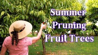 Summer Pruning: The Key To A Healthy Fruit Tree