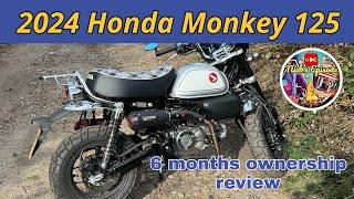 Honda Monkey 125 | 6 Month 1000 Miles Owners Review