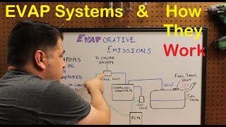 How EVAP Systems Work - Automotive Education