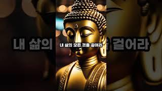 성공적인 인생 #부처님 #부처님말씀 #진리 #법상스님 #진리 #진리의말씀