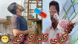 سارے بچے کھلتے ہی اسمان چلے گئے  - Apna Shok apni pachan - Nasir pigeon club - khokhar pigeons club