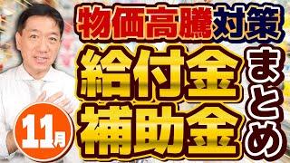 【11月度 物価高騰 給付金・補助金まとめ】今後の給付・臨時対策/ ひとり親家庭自立給付金 月7万円～/ 介護サービス等・事業者振興支援補助金20-100万円/ 個人・小規模向け〈24年11月時点〉