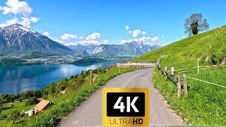 Driving in Switzerland - Beatenberg to Sigriswil Mountain Villages | 4K 60fps video