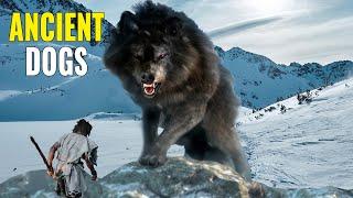 9 Most AMAZING Prehistoric Dogs!