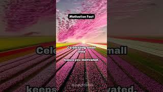 Motivation Fact: Celebrate Small Wins for Big Success | Insight Bites #facts #psychology