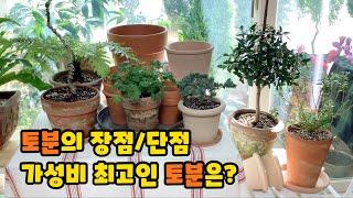 국산/이태리/독일 토분 이야기/가성비 갑인 토분은?/Advantages of Terracotta pot.