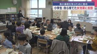 「美味しい」みそ汁完食！小学生が育てた“女池菜”を給食で味わう：食の循環を学ぶために栽培【新潟】スーパーJにいがた3月5日OA