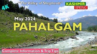 Pahalgam Kashmir | May 2024 | Complete Trip Guide |Aru Valley | Betab Valley  | travel information|