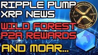 RIPPLE PUMP XRP NEWS | WILD FOREST P2A REWARDS | RONIN CHAIN