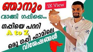 ഗപ്പി യെ പറ്റി അറിയേണ്ടത് ||Guppy fish || Guppy fish Farming