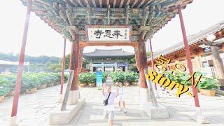 서울 도심 속 천년고찰 "봉은사"