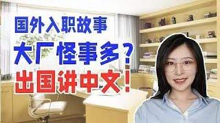 【程序员求职】关于北美大厂奇怪的规矩，你学的这些可能都没用了？| 苏苏思量