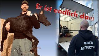 K9-Eddy // Airborne Medical Group - Erste Hilfe Hund