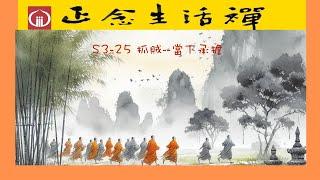 S3-25 抓賊--當下承擔--香光正念生活禪. #mindfulness , #Living zen, #有煩惱的人一定要看, #公案故事