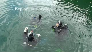 Rendezvous Dive Adventures diving Vancouver Island Canada