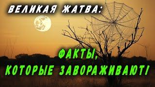 ВЕЛИКАЯ ЖАТВА: ФАКТЫ, КОТОРЫЕ ЗАВОРАЖИВАЮТ