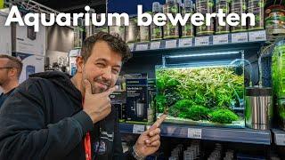 So werden Aquarien bei Wettbewerben bewertet!